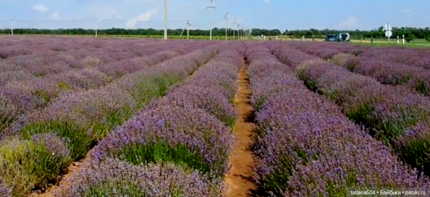 Люся раз, Люся два, Люся три… Или мои куклы мини BERJUAN (фото 9)