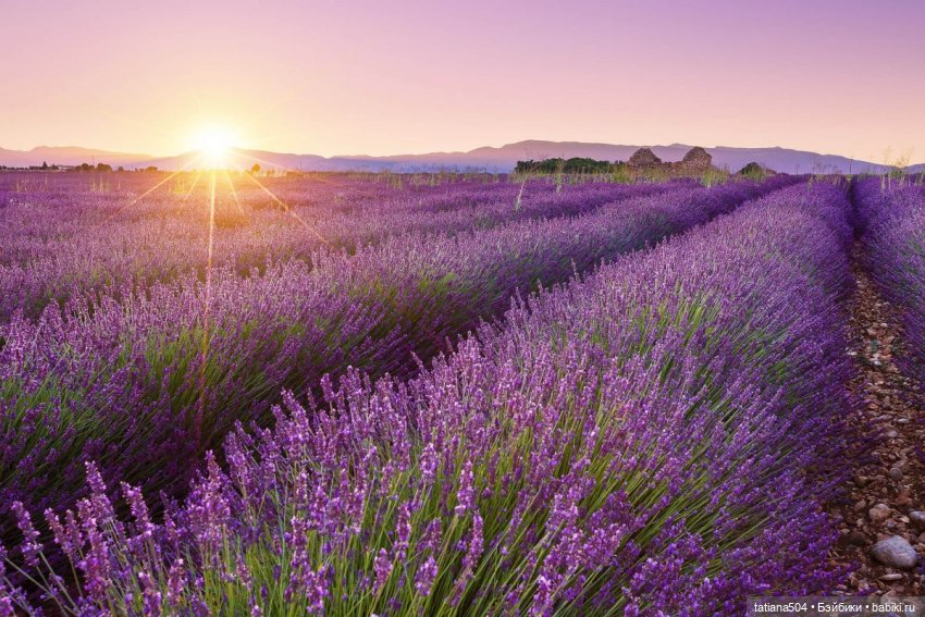 Люся раз, Люся два, Люся три… Или мои куклы мини BERJUAN (фото 7)