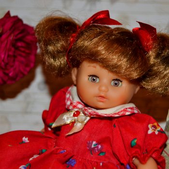 Последние розы в ноябре