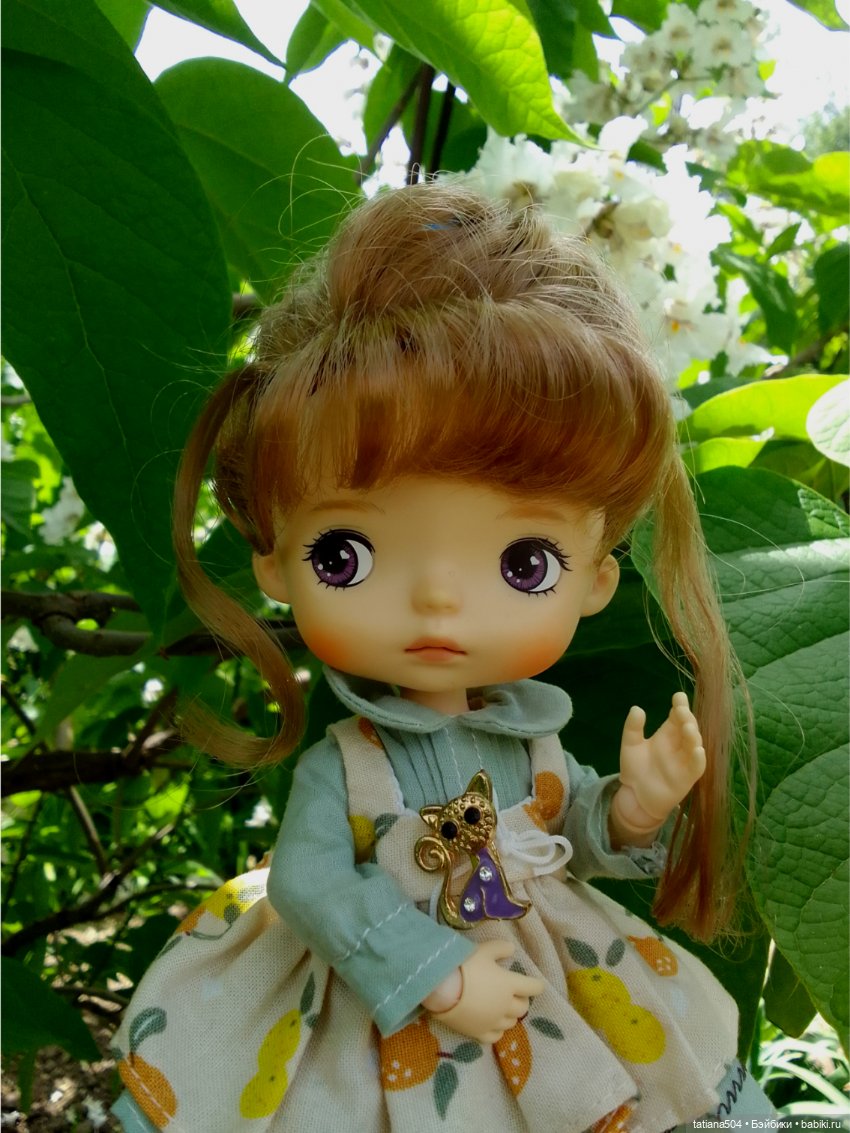 «Макаронное дерево», дерево счастья или слоновьи уши