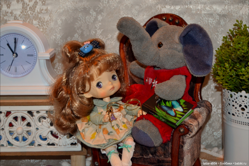 «Макаронное дерево», дерево счастья или слоновьи уши