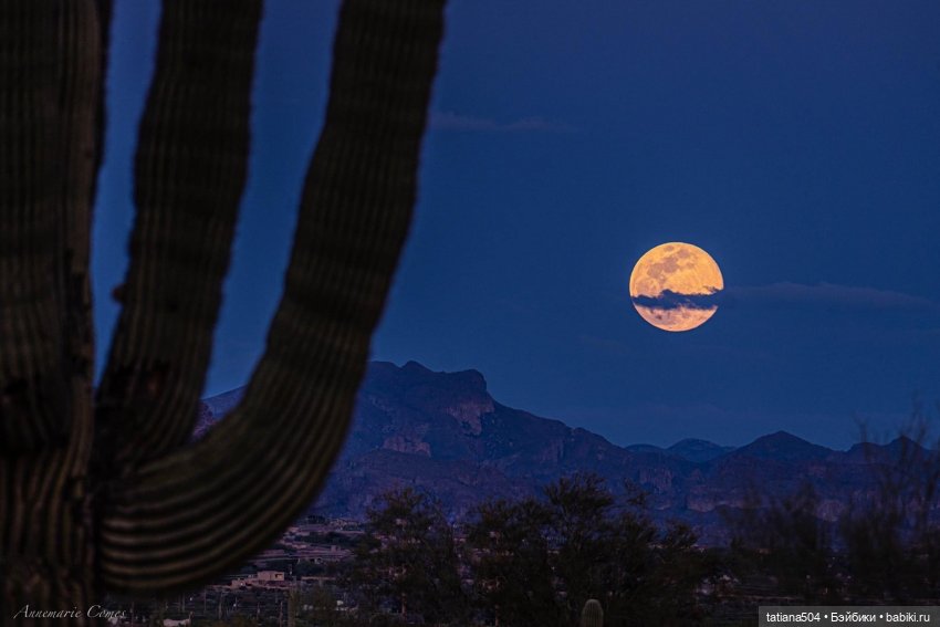 Голубая луна или СУПЕРЛУНЬЕ 2024г (фото 6)