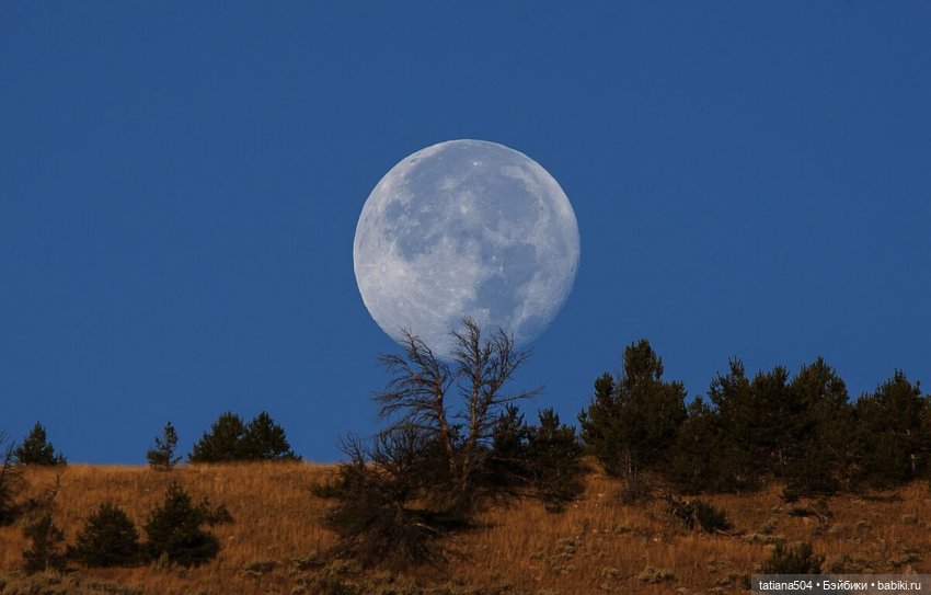Голубая луна или СУПЕРЛУНЬЕ 2024г