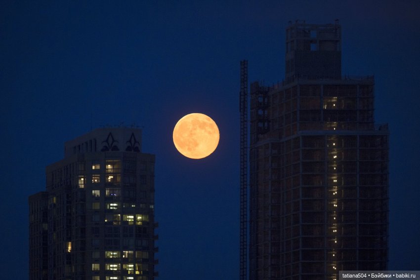 Голубая луна или СУПЕРЛУНЬЕ 2024г (фото 7)