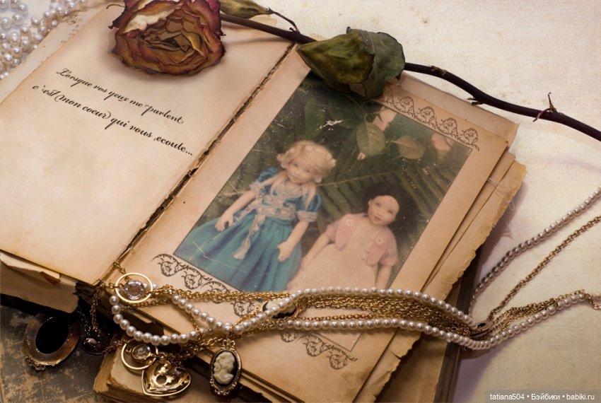 Мемуары из кукольной жизни (Брайн)