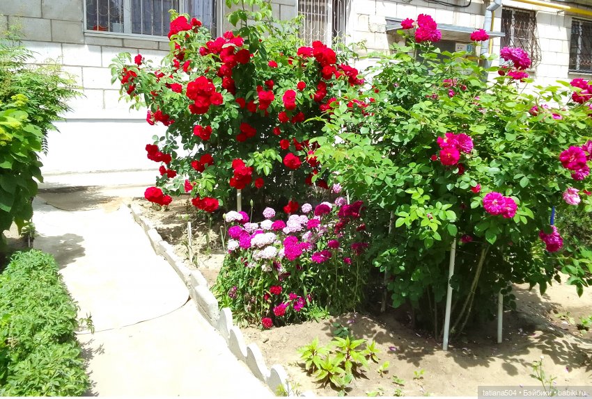 Осень, где ты? Снова лето | Бэйбики Осень, где ты? Снова лето (фото 3)