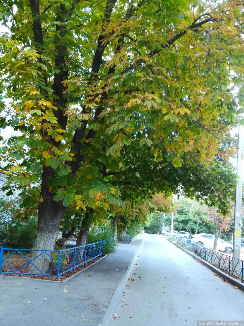 Осень, где ты? Снова лето | Бэйбики Осень, где ты? Снова лето (фото 2)