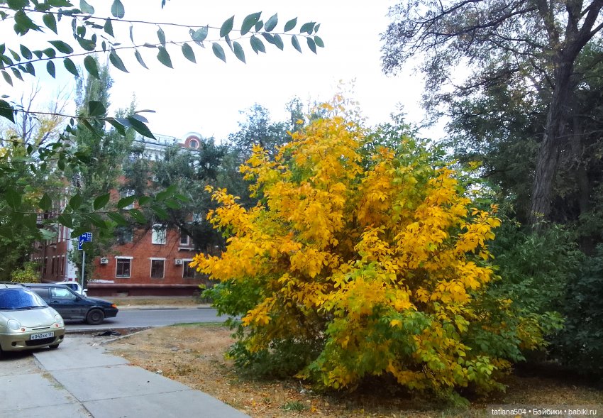 Раечка, лови момент — Куклы Helen Kish (Хелен Киш): Riley (Райли) (фото 4)