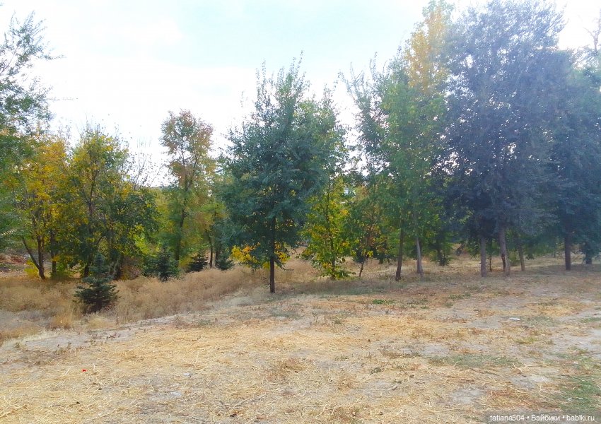 Раечка, лови момент — Куклы Helen Kish (Хелен Киш): Riley (Райли)