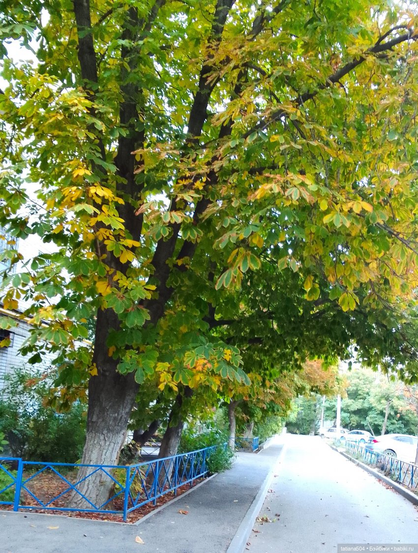 Раечка, лови момент — Куклы Helen Kish (Хелен Киш): Riley (Райли) (фото 3)