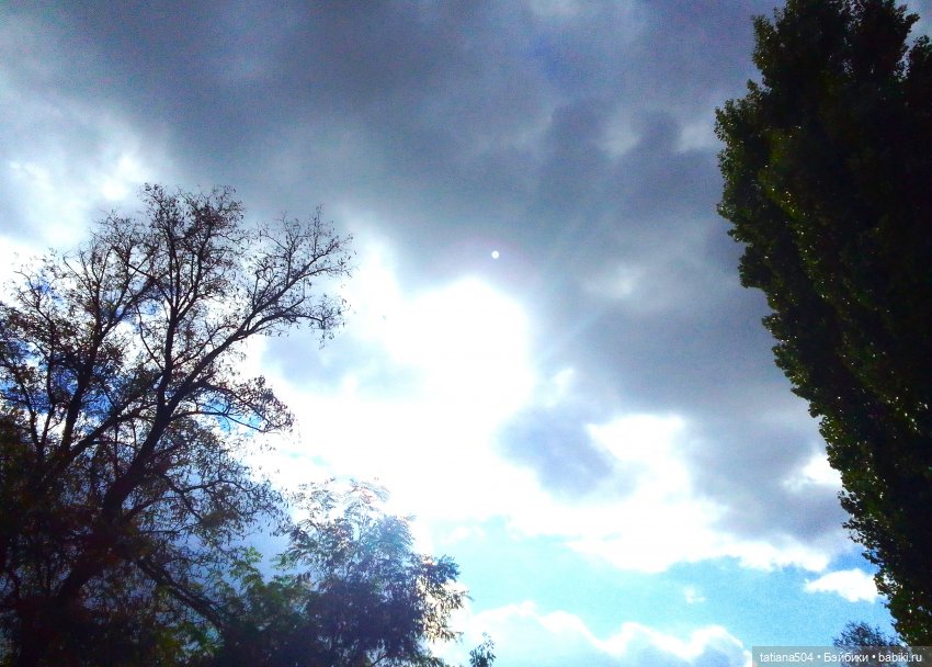 Раечка, лови момент — Куклы Helen Kish (Хелен Киш): Riley (Райли)