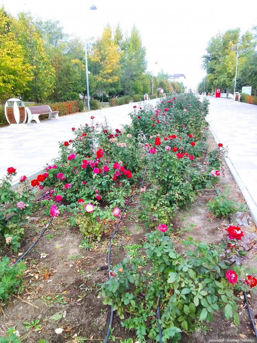 Экскурсия в парк СССР - парк имени Ю. Гагарина