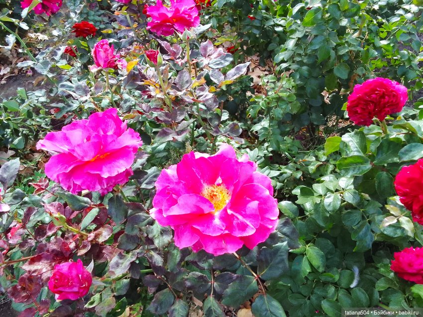 Экскурсия в парк СССР - парк имени Ю. Гагарина