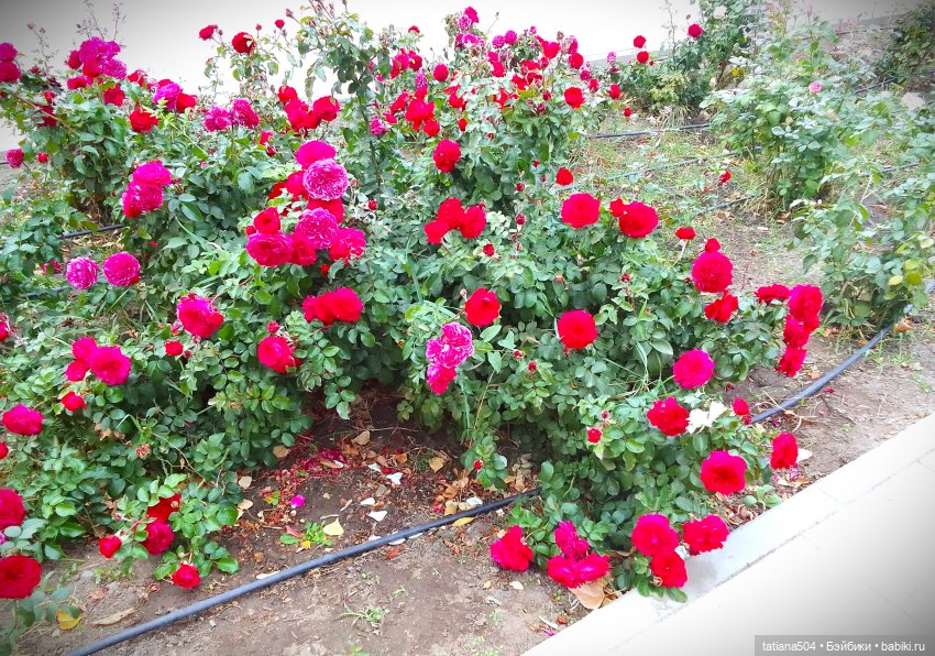 Экскурсия в парк СССР - парк имени Ю. Гагарина