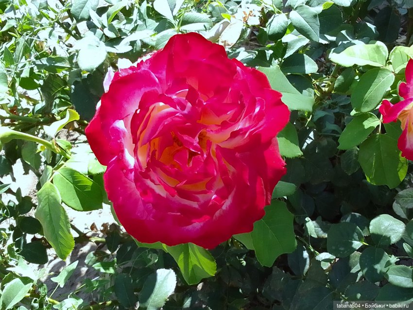 Экскурсия в парк СССР - парк имени Ю. Гагарина