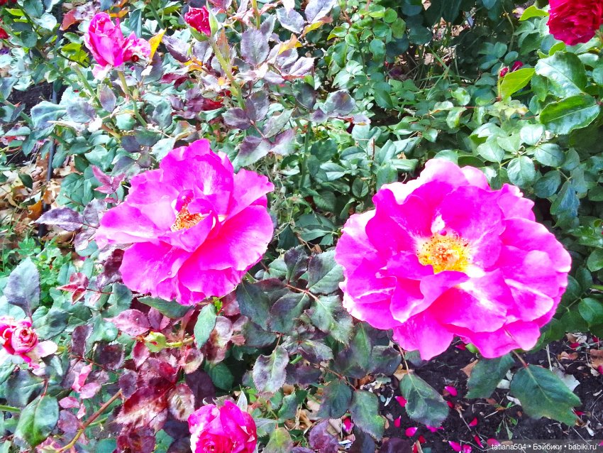 Экскурсия в парк СССР - парк имени Ю. Гагарина