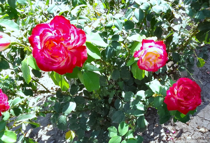 Экскурсия в парк СССР - парк имени Ю. Гагарина