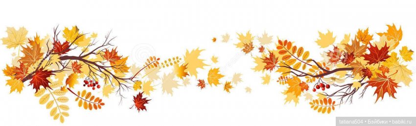 Иренкина осень или ДВА разных дня | Бэйбики Иренкина осень или ДВА разных дня