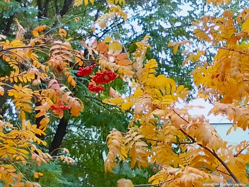 Как мы с Тулой, дом с медальонами искали