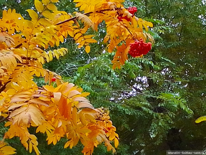 Как мы с Тулой, дом с медальонами искали