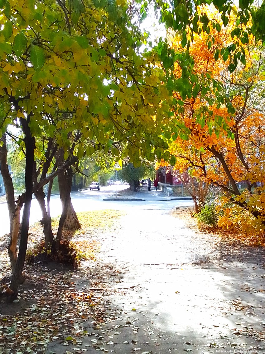 Как мы с Тулой, дом с медальонами искали