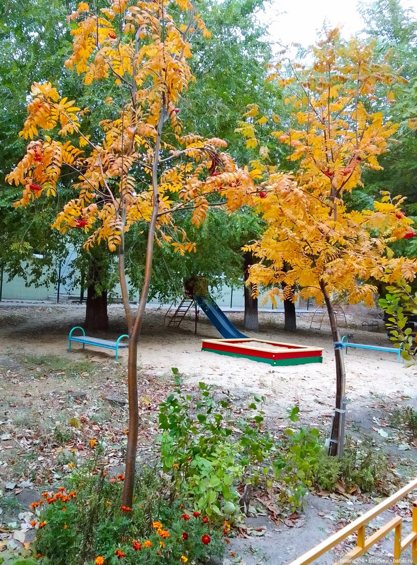 Как мы с Тулой, дом с медальонами искали (фото 9)