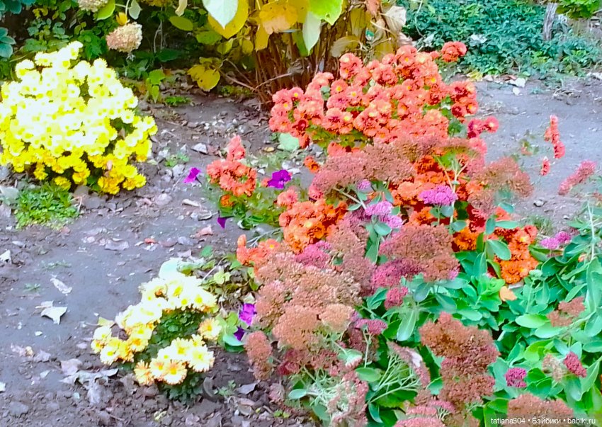 Как мы с Тулой, дом с медальонами искали (фото 7)