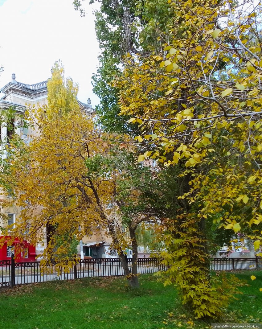 В поисках дома с медальонами, ЧАСТЬ 2