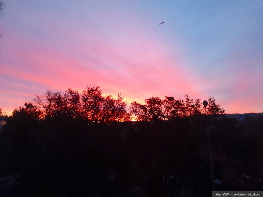 Осенние картинки — Куклы Xiaomi Monst (Сяоми) и Pipitom: шарнирные