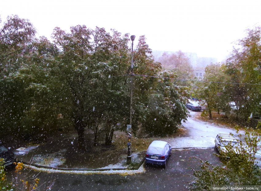 Осенние картинки — Куклы Xiaomi Monst (Сяоми) и Pipitom: шарнирные (фото 3)