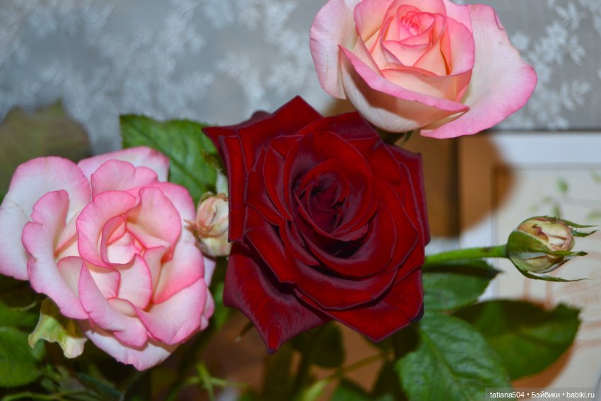 Танечка, Танюша — Куклы Dianna Effner (Эффнер) из винила: Little Darling (фото 9)