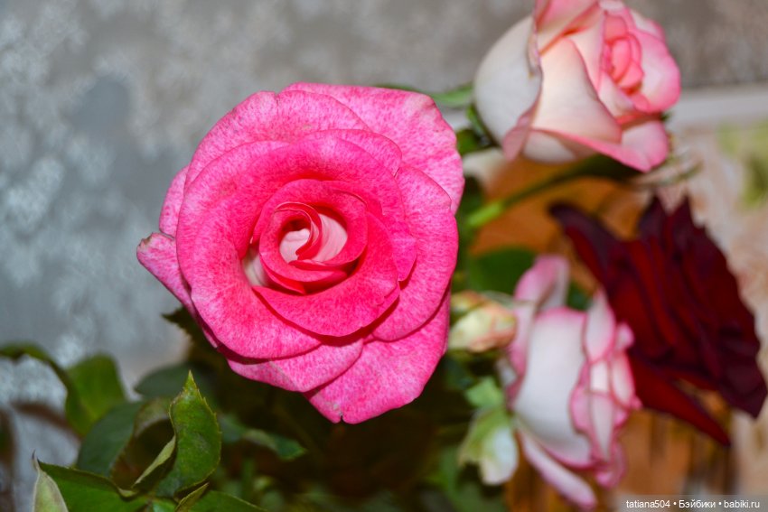 Танечка, Танюша — Куклы Dianna Effner (Эффнер) из винила: Little Darling