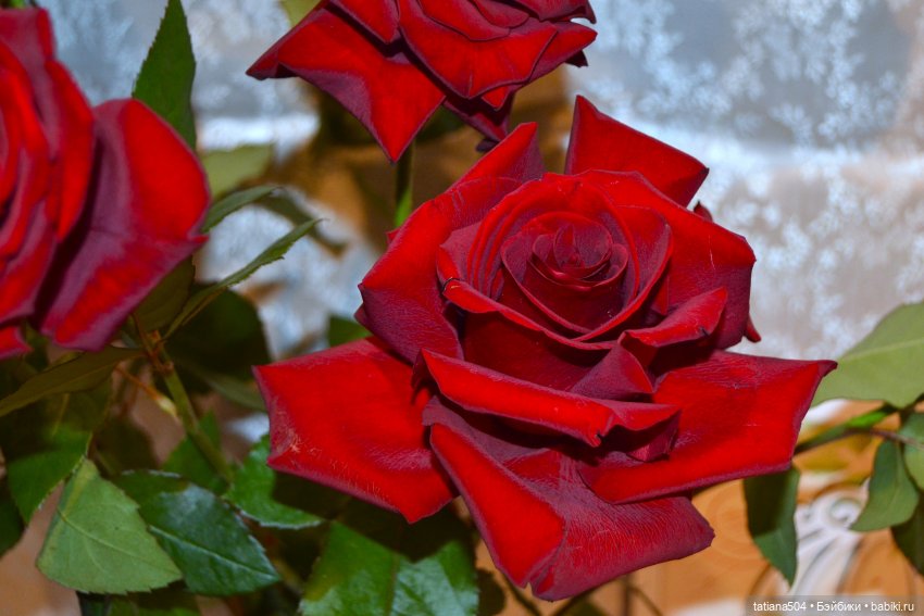 Танечка, Танюша — Куклы Dianna Effner (Эффнер) из винила: Little Darling (фото 2)