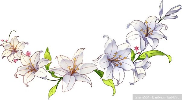 А у нас эухарис расцвел — Винтажные куклы ГДР (Немки): Бигги