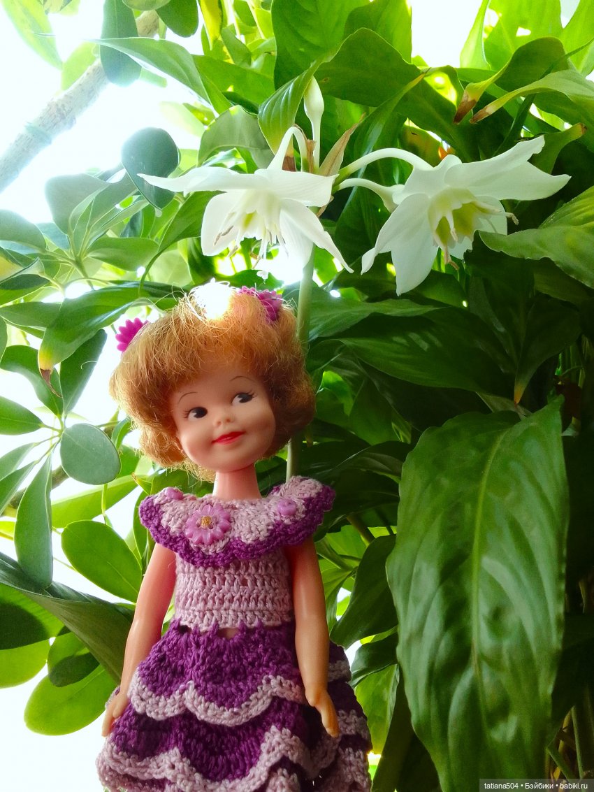 А у нас эухарис расцвел — Винтажные куклы ГДР (Немки): Бигги