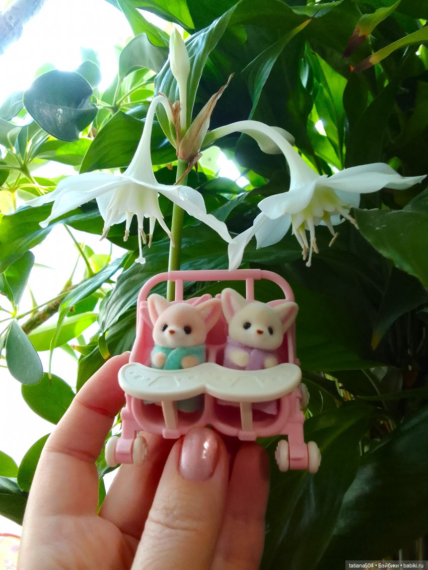 А у нас эухарис расцвел — Винтажные куклы ГДР (Немки): Бигги