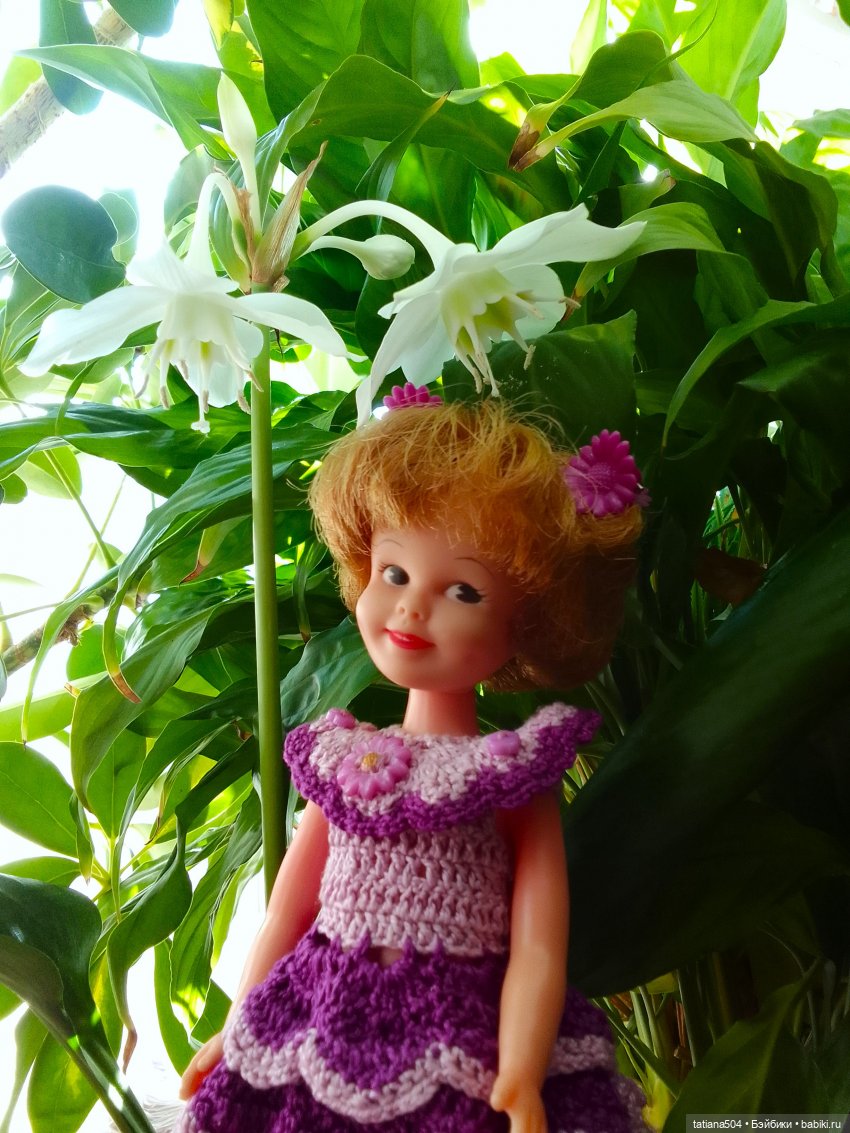 А у нас эухарис расцвел — Винтажные куклы ГДР (Немки): Бигги