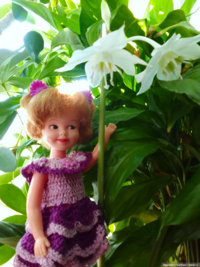 А у нас эухарис расцвел — Винтажные куклы ГДР (Немки): Бигги