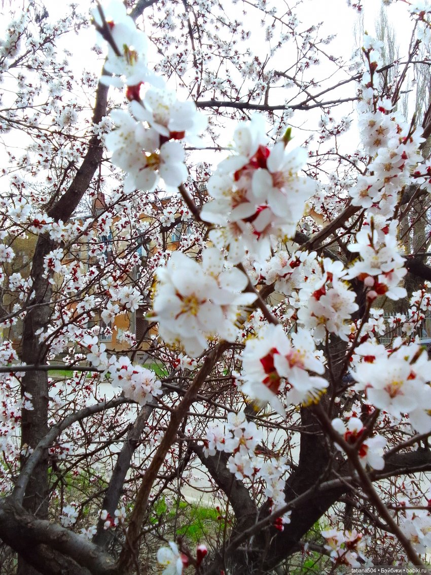 Весна Баффи — Куклы Helen Kish (Хелен Киш): Riley (Райли)