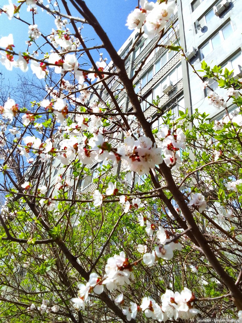 Тайны весеннего сада — Куклы Helen Kish (Хелен Киш): Riley (Райли) (фото 4)