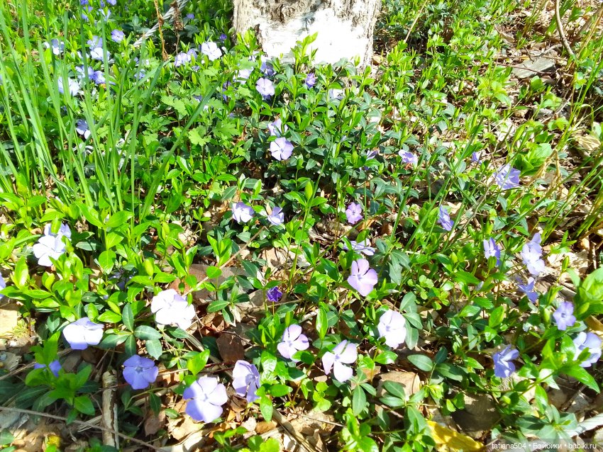 Тайны весеннего сада — Куклы Helen Kish (Хелен Киш): Riley (Райли) (фото 6)