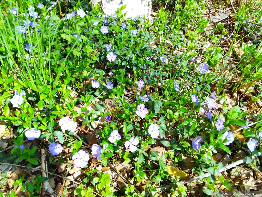 Тайны весеннего сада — Куклы Helen Kish (Хелен Киш): Riley (Райли) (фото 9)