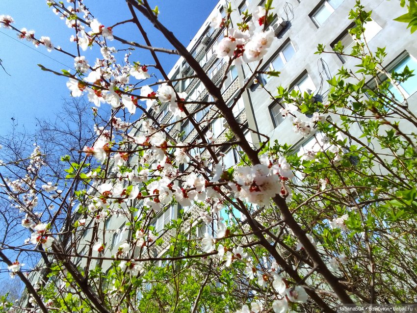 Тайны весеннего сада — Куклы Helen Kish (Хелен Киш): Riley (Райли)