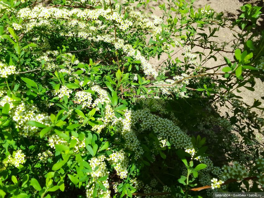 Тайны весеннего сада — Куклы Helen Kish (Хелен Киш): Riley (Райли)