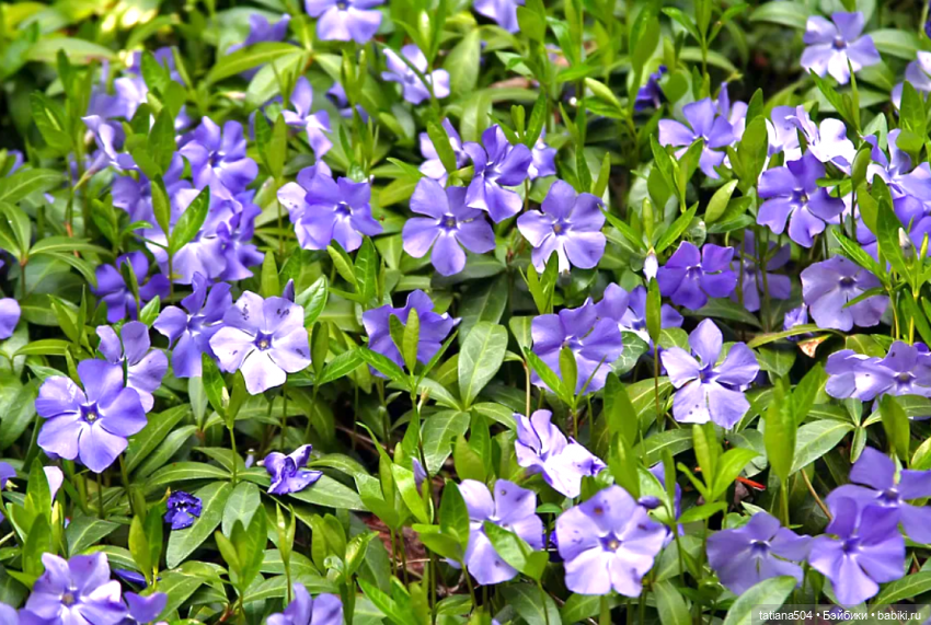 Тайны весеннего сада — Куклы Helen Kish (Хелен Киш): Riley (Райли) (фото 5)