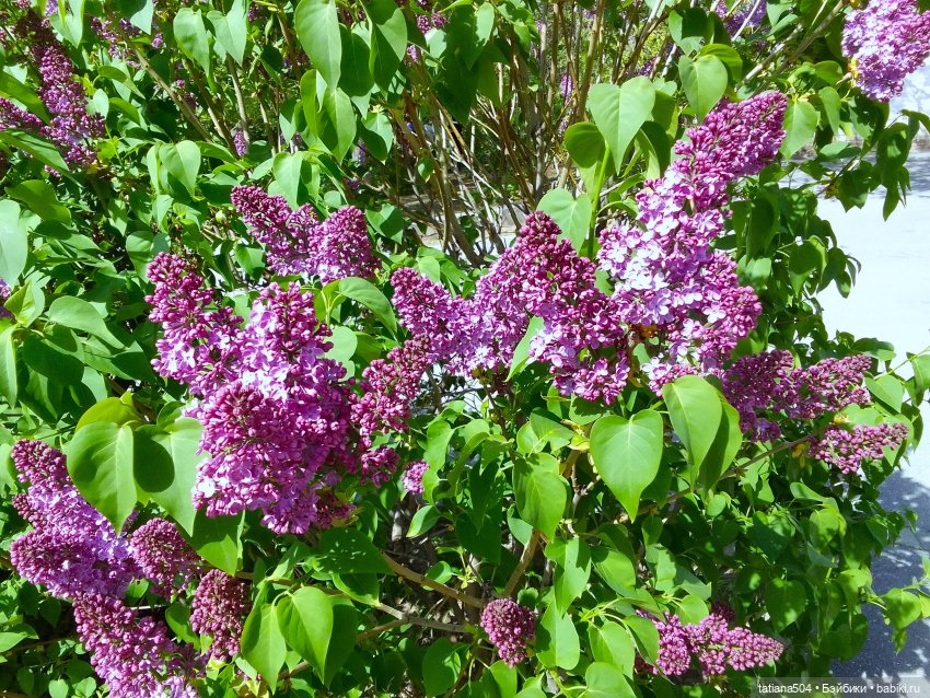 Тайны весеннего сада — Куклы Helen Kish (Хелен Киш): Riley (Райли)