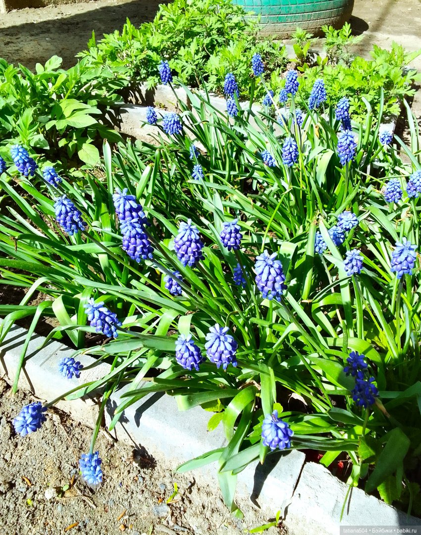 Тайны весеннего сада — Куклы Helen Kish (Хелен Киш): Riley (Райли)