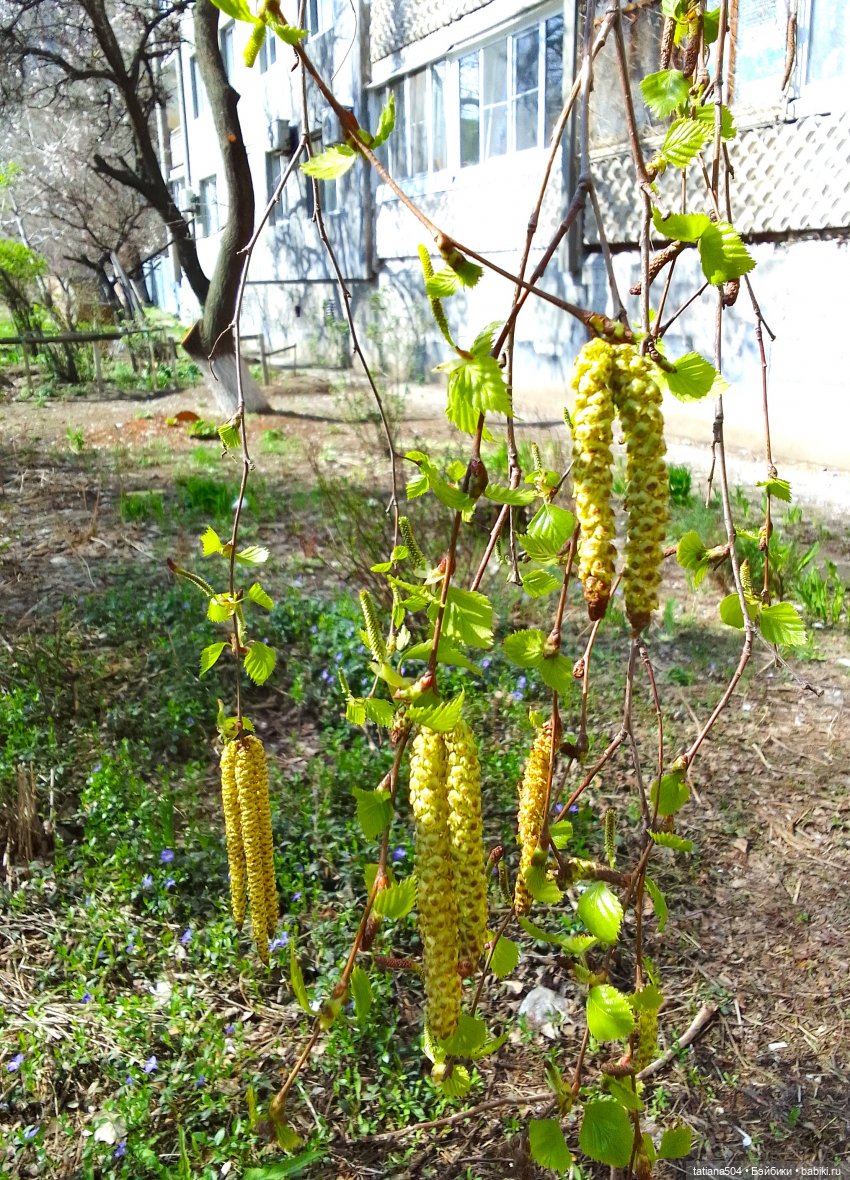 Тайны весеннего сада — Куклы Helen Kish (Хелен Киш): Riley (Райли)