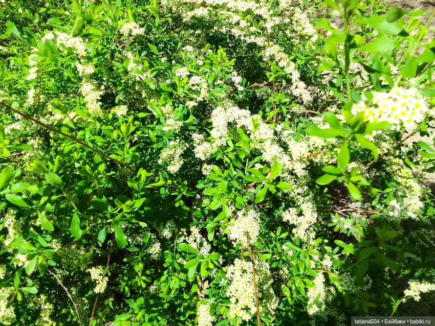 Тайны весеннего сада — Куклы Helen Kish (Хелен Киш): Riley (Райли)