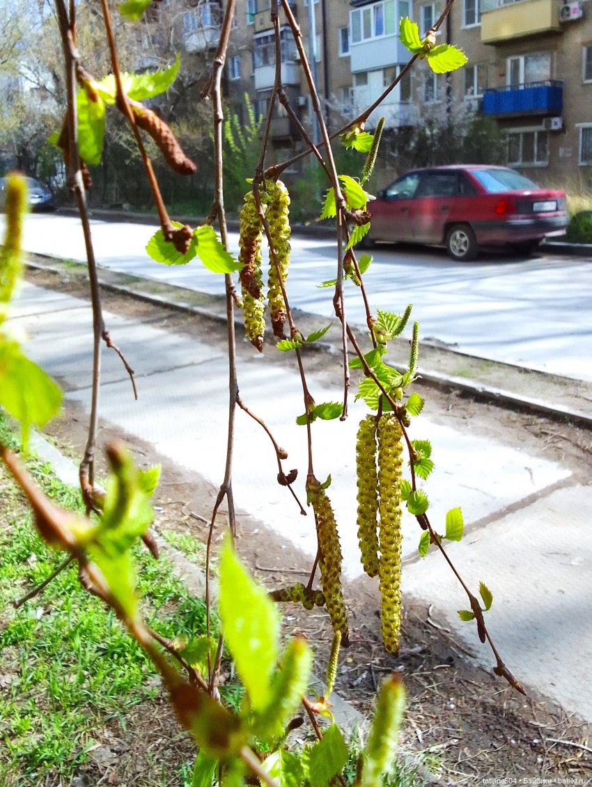 Тайны весеннего сада — Куклы Helen Kish (Хелен Киш): Riley (Райли)